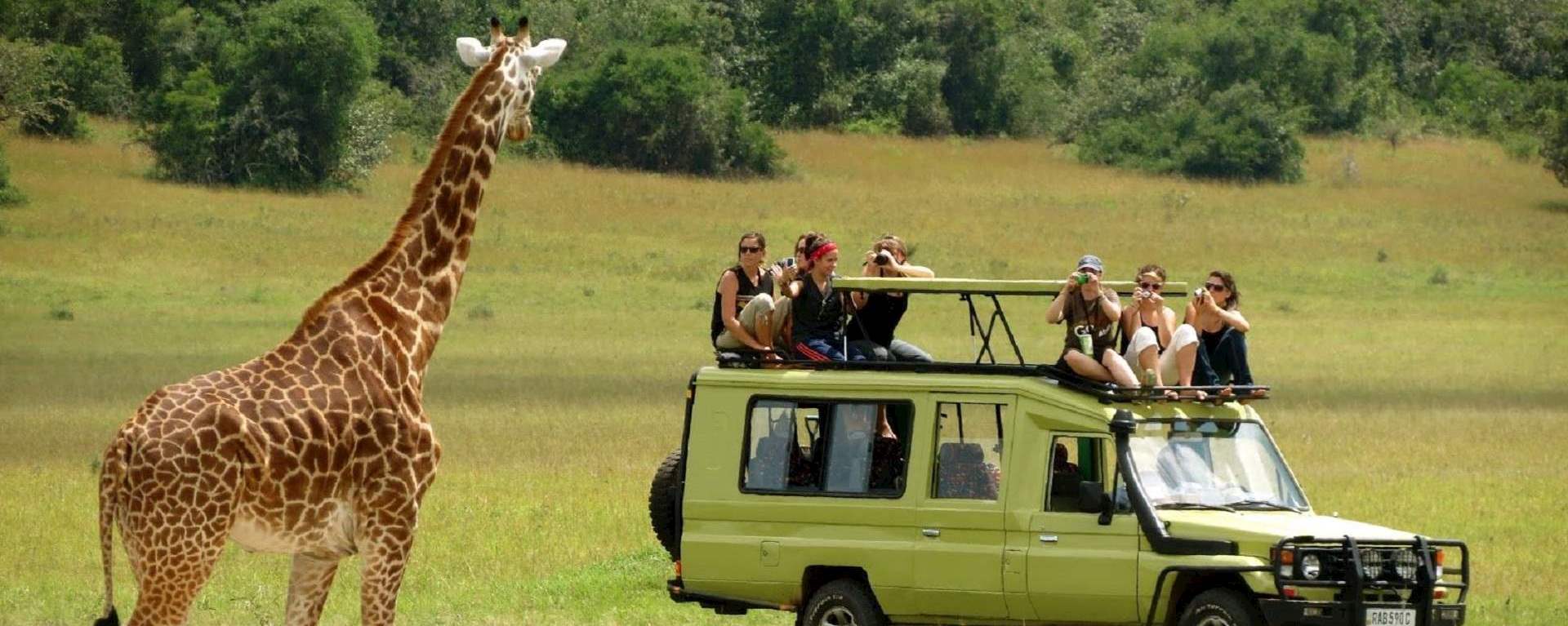 7 Days Tanzania Luxury Halal Safari