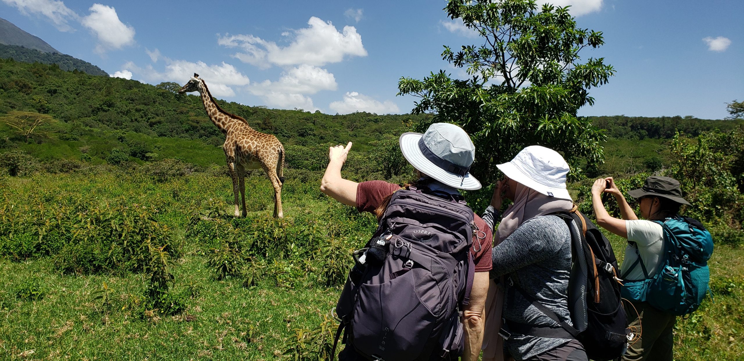 Day Trip to Arusha National Park