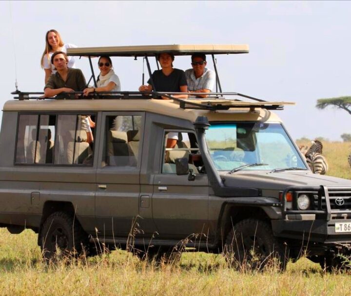 11 Days Tanzania Cultural and Wildlife Adventures