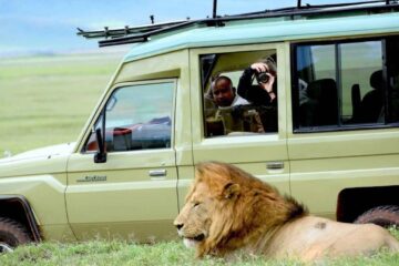 Day Trip Mikumi National Park Flying Safari from Zanzibar