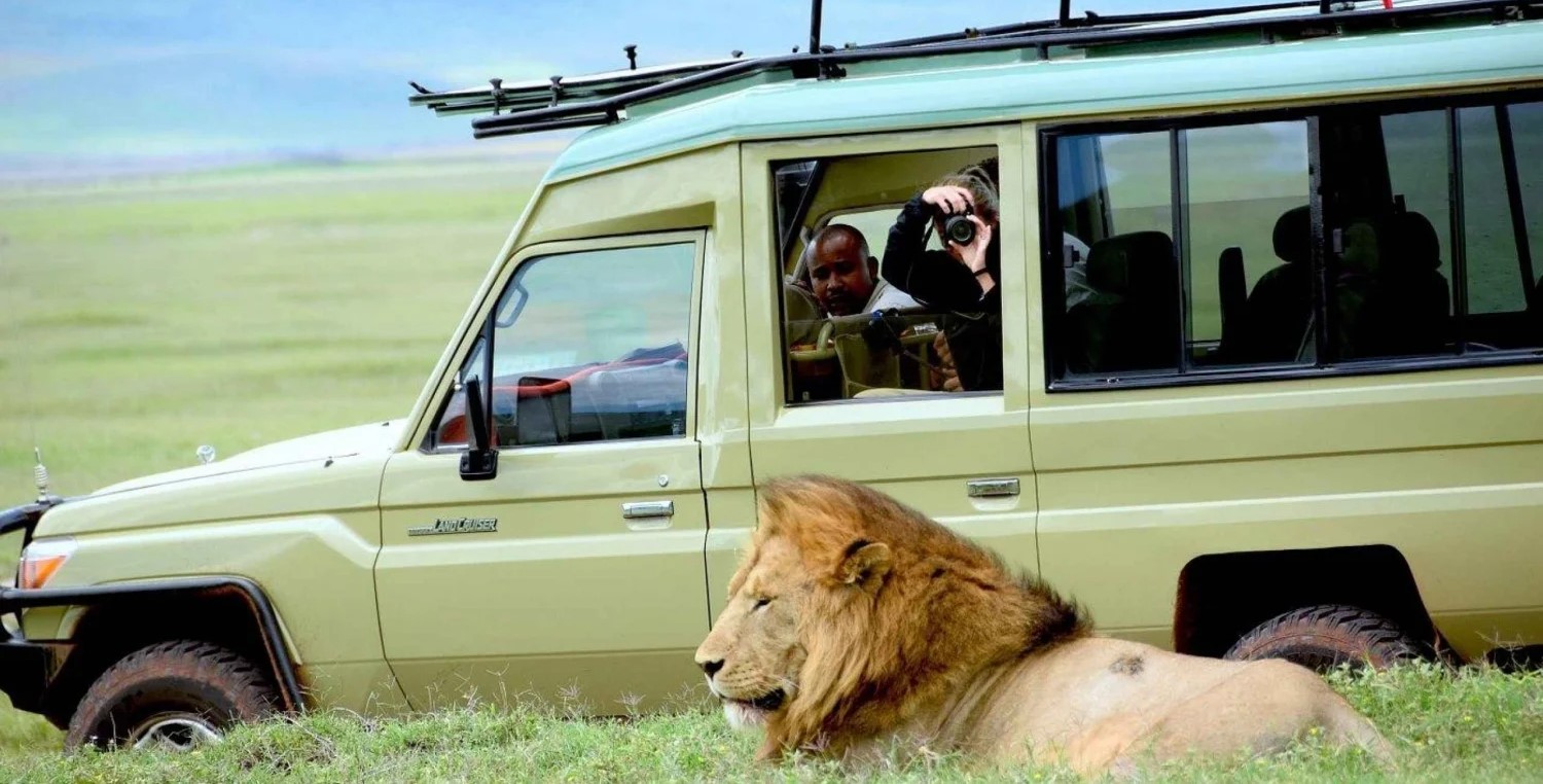 Day Trip Mikumi National Park Flying Safari from Zanzibar