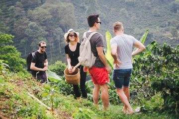 Explore Arusha Coffee Plantation Tour