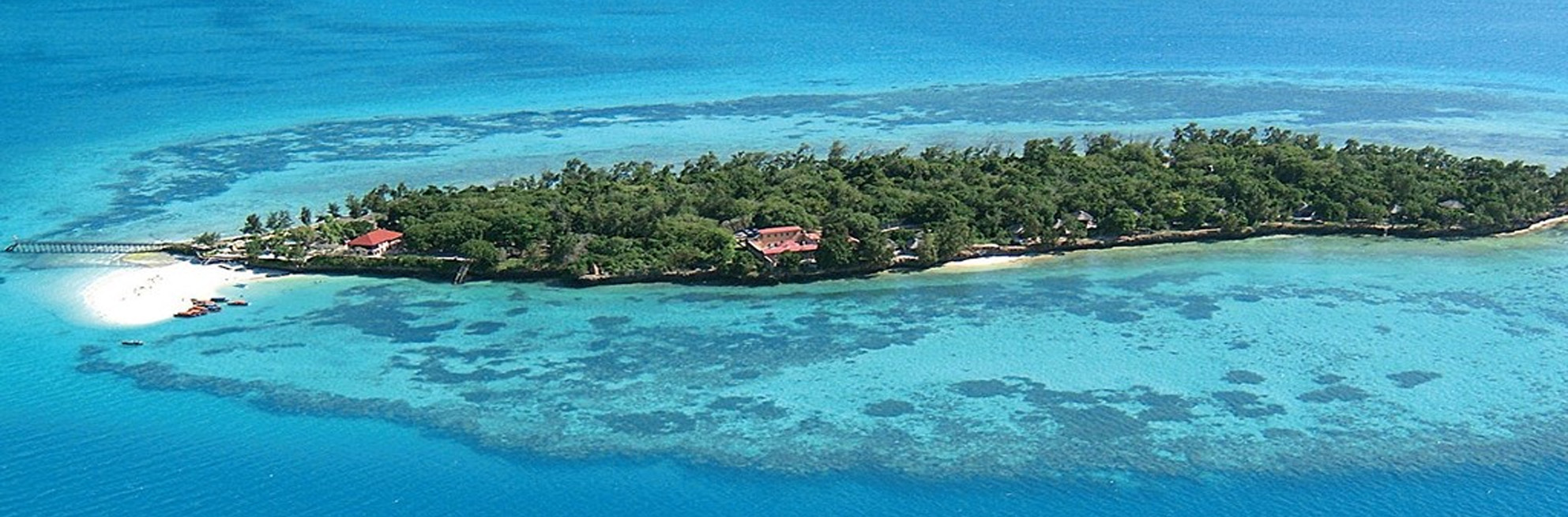 Prison Island Tour Zanzibar