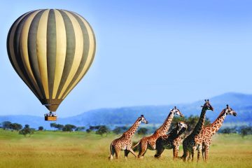 Serengeti Balloon Safaris in Tanzania W A S