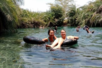 Kikuletwa Chemka Hot Springs Day Tour