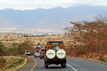 Guides-of-Africa-Safari-to-Ngorongoro-and-Serengeti