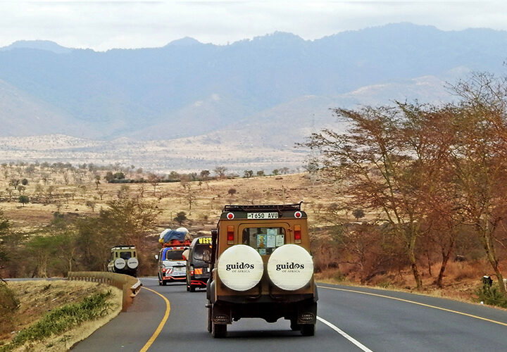 Guides-of-Africa-Safari-to-Ngorongoro-and-Serengeti